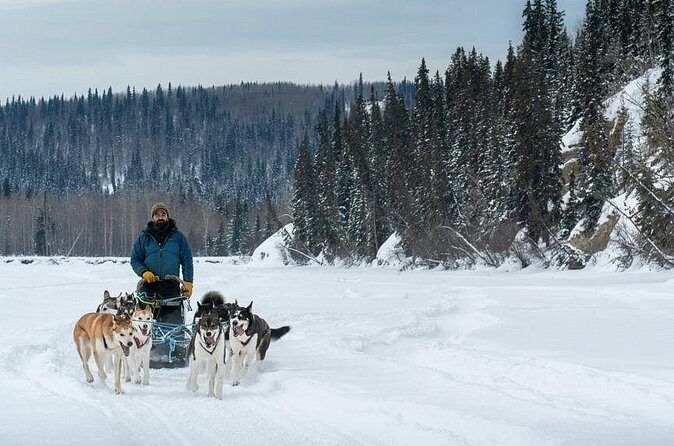 Large Groups for Mushing Activity - Who Should Consider This Tour?