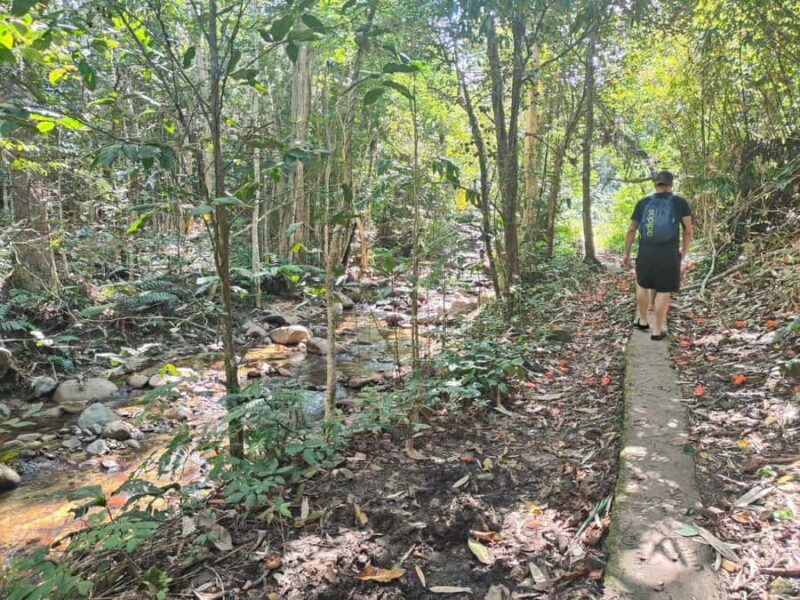 Largest zipline/Cave & Biausevu waterfall Discovery tour - Key Points