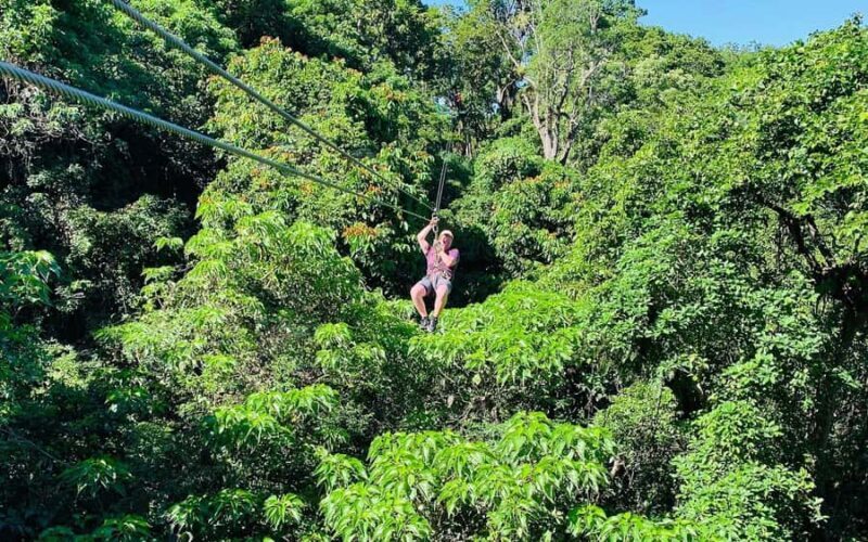 Largest Zipline & Cave Exploration from sigatoka coral coast - Who Should Consider This Tour?