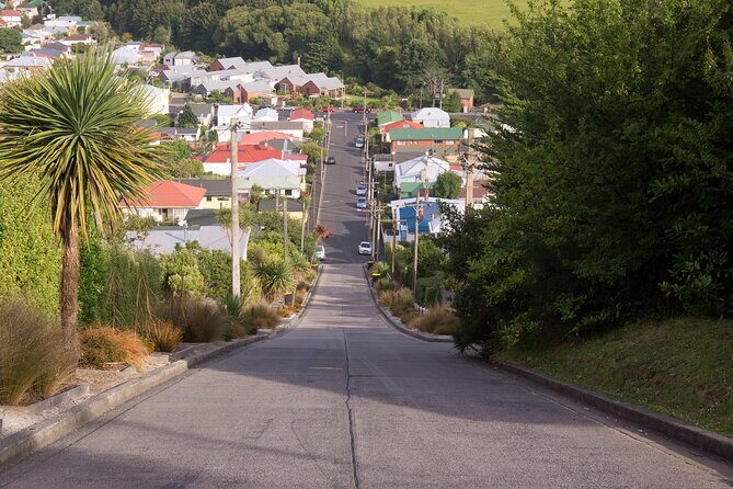 Larnach Castle & Dunedin City Highlights Tour (Shore Excursion) - Key Points