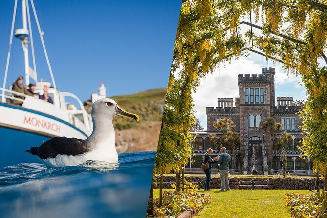 Larnach Castle & Otago Wildlife Cruise from Dunedin - A Detailed Look at the Tour Experience