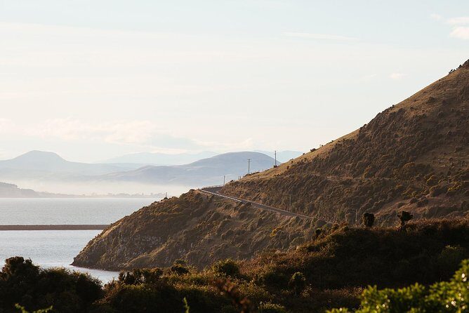 Larnach Castle & Otago Wildlife Cruise from Dunedin - Final Thoughts