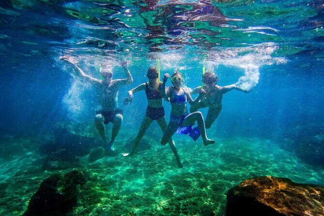 Las Caletas The Best Kept Secret of Puerto Vallarta - Final Thoughts: Who Should Consider This Tour?