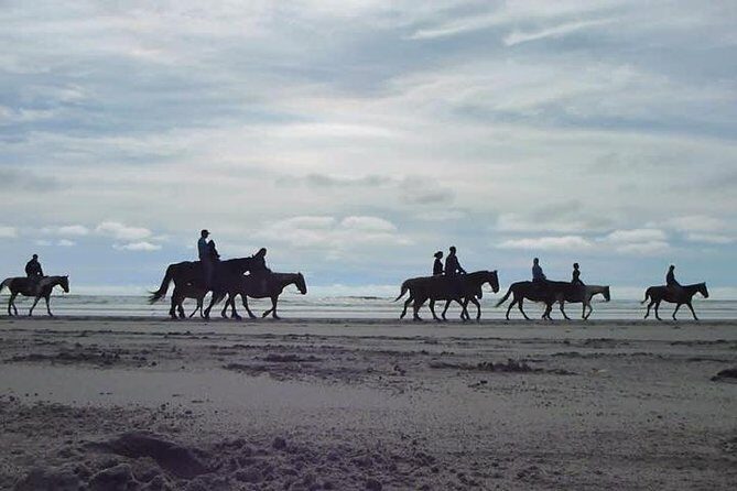 Las cañadas ecopark and horseback riding private tour - The Itinerary in Detail: What to Expect
