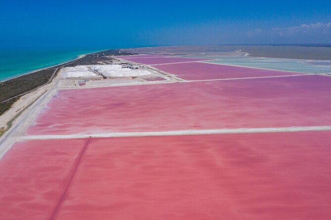 Las Coloradas Amazing Pink Lake & Rio Lagartos from Tulum - Who Is This Tour Best For?
