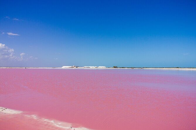 Las Coloradas Amazing Pink Lake & Rio Lagartos from Tulum - The Sum Up: Is It Worth It?