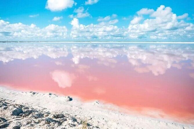 Las Coloradas and Rio Lagartos Day Tour from Cancun - Second Stop: Rio Lagartos Biosphere Reserve