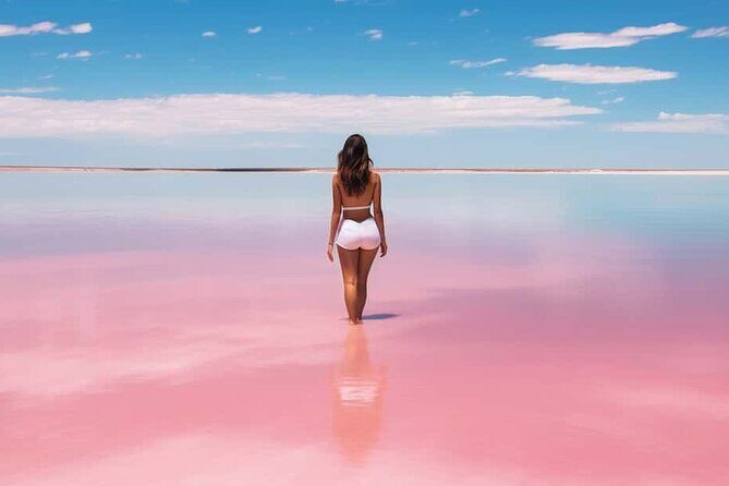 Las Coloradas and Rio Lagartos Day Tour from Cancun - Final Activities: Wildlife and Cultural Flavors