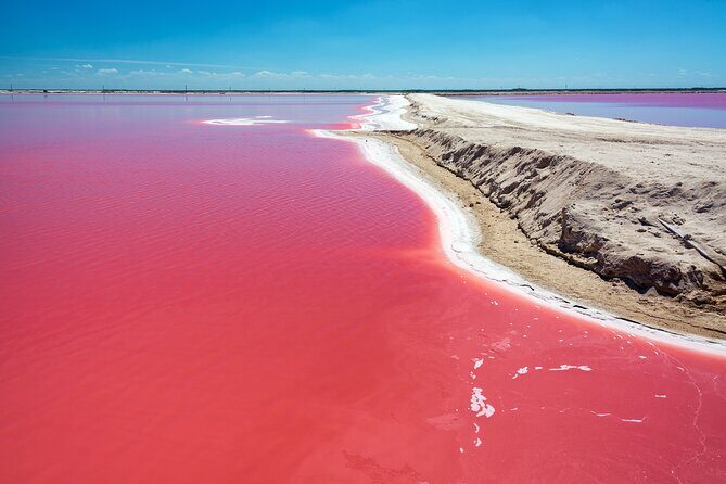 Las Coloradas Pink Lake & Rio Lagartos Guided Tour - Key Points