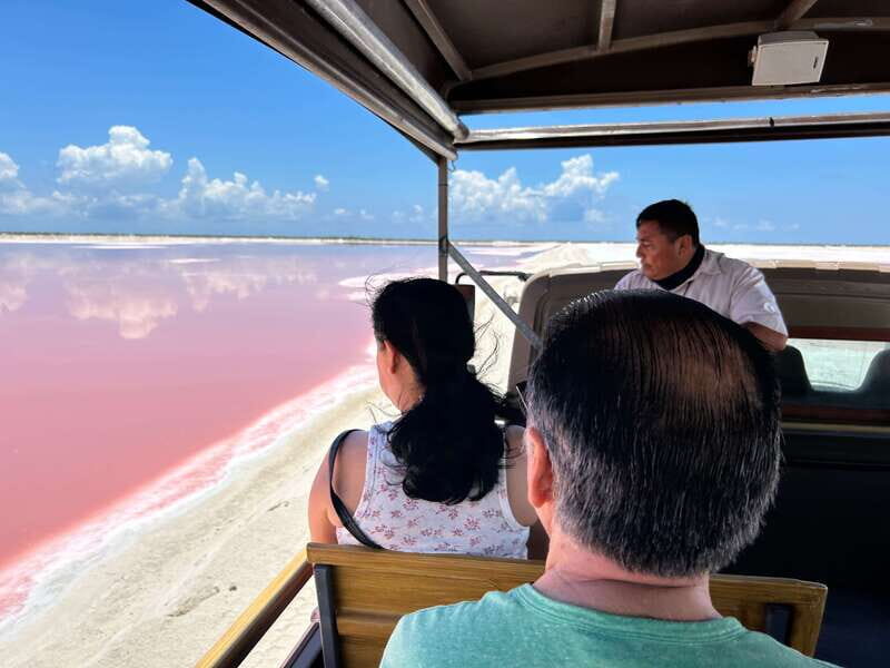 Las Coloradas: Pink Lakes Safari Tour - What Makes This Tour Special?