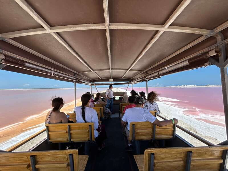 Las Coloradas: Pink Lakes Safari Tour - Practical Details and Tips