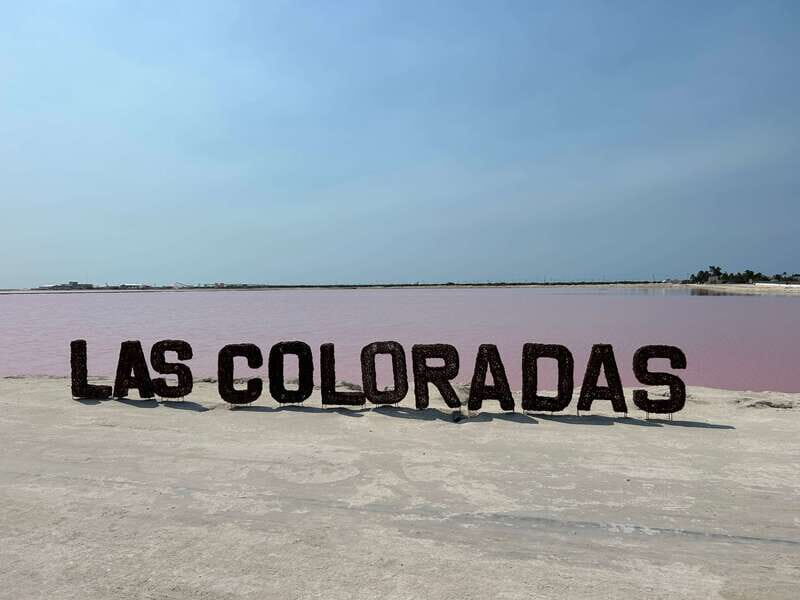 Las Coloradas: Pink Lakes Safari Tour - Authentic Experiences and Reviews