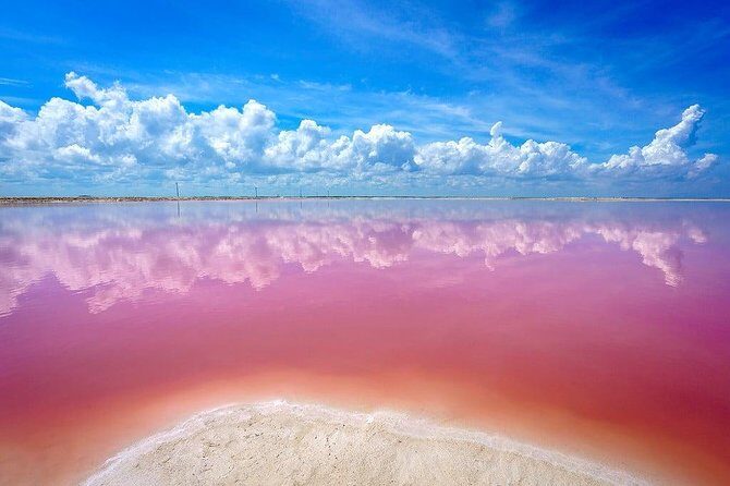 Las Coloradas & Rio Lagartos, Beautiful Eco Adventure from Tulum City - FAQ