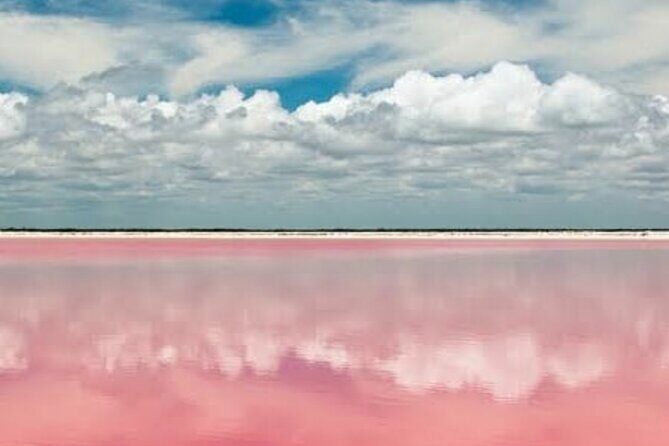 Las Coloradas & Río Lagartos with boat & Lunch from Mérida - An Honest Look at the Las Coloradas & Río Lagartos Tour from Mérida
