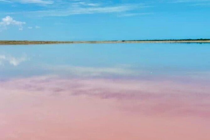 Las Coloradas & Río Lagartos with boat & Lunch from Mérida - Final Thoughts