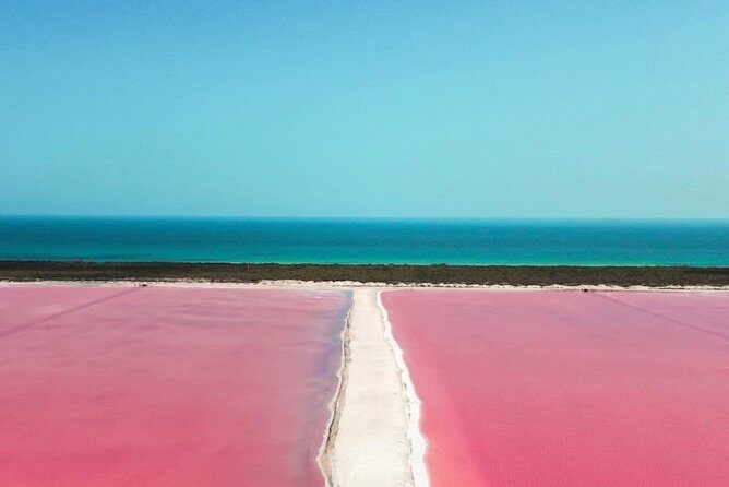 Las Coloradas Tour from Cancun and Playa del Carmen - An In-Depth Look at the Experience