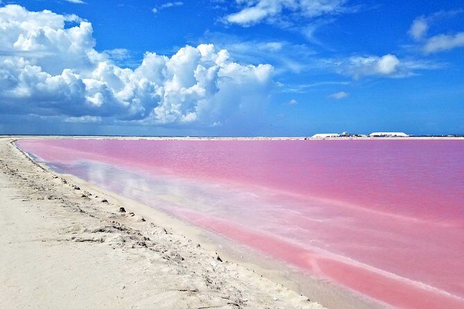 Las Coloradas Tour from Cancun and Playa del Carmen - Who Will Appreciate This Tour?