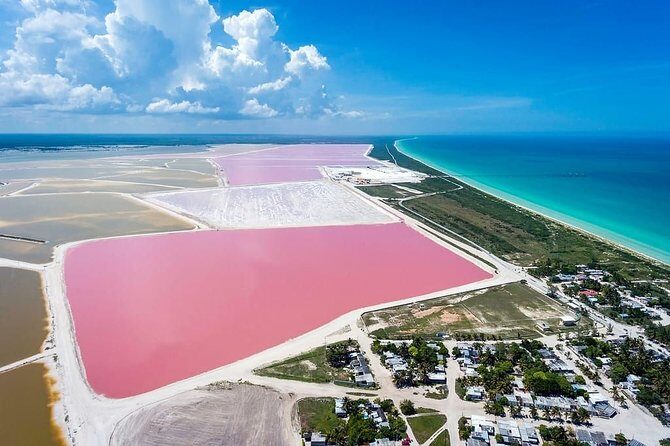 Las Coloradas Tour from Cancun and Playa del Carmen - FAQ