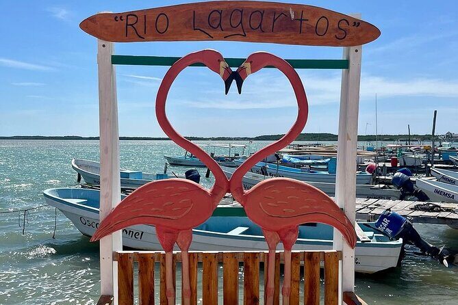 Las Coloradas Tour to Pink Lakes and Wildlife Wonders - Final Thoughts: Is This Tour Worth It?