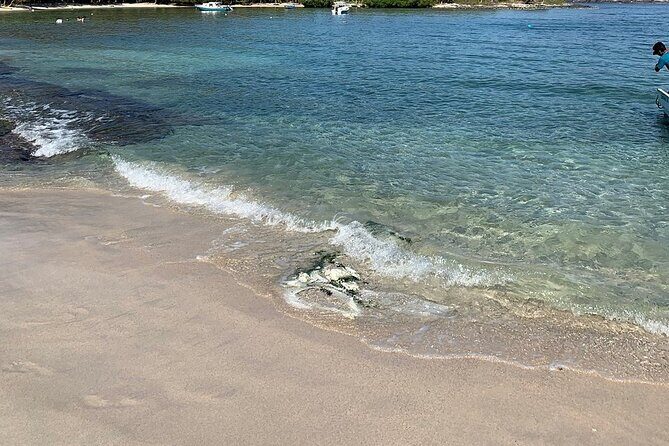 Las Gatas Kayaking and Snorkeling Tour - Returning and Overall Value