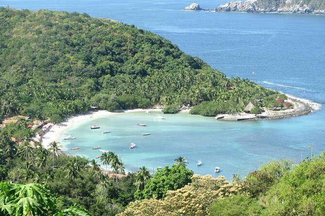 Las Gatas Kayaking and Snorkeling Tour - Authentic Experiences and Real Traveler Insights