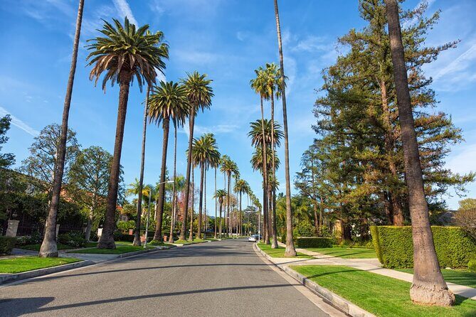LA's Iconic Tour: Celeb Homes, Walk of Fame, Rodeo & Santa Monica - Who Will Love This Tour?