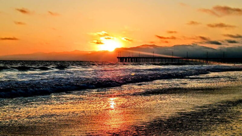 LA's Most Romantic Luxury Wine & Dine Boat Cruise & Sealions - Overview of the Experience