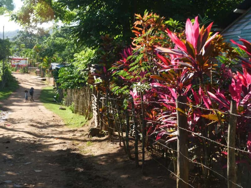 Las Terrenas: El Limón Waterfall Trekking Tour in Samana - An In-Depth Look at the Tour Experience