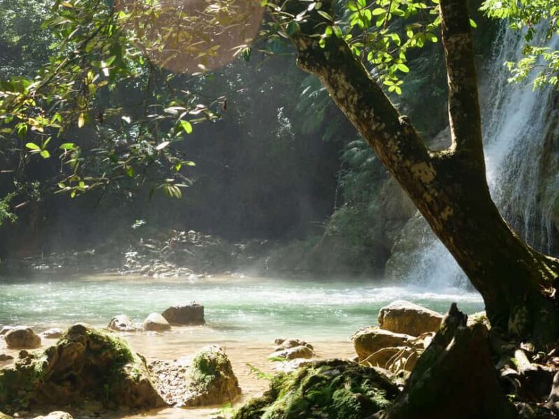Las Terrenas: El Limón Waterfall Trekking Tour in Samana - Final Thoughts
