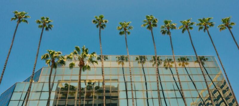 LAs Timeless Treasures: A Downtown Discovery Private Tour - What You Should Know Before Booking