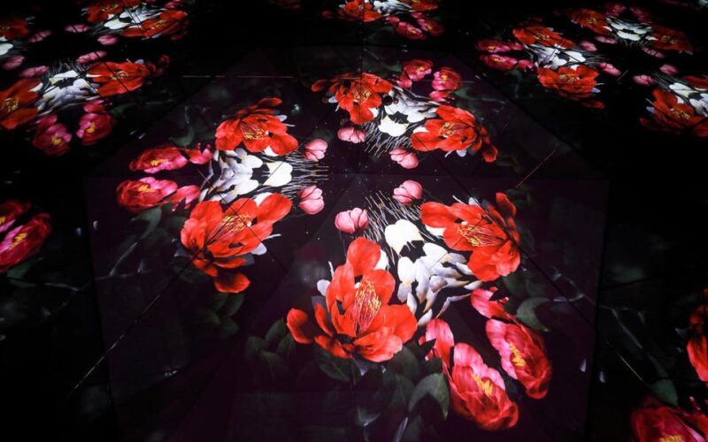 Las Vegas: Arte Museum Las Vegas Immersive Art Exhibition - What Is the Arte Museum Las Vegas?