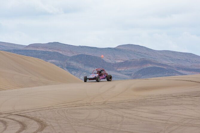 Las Vegas Big Dune Free Roam Adventure at Amargosa - What the Tour Includes and How It Works
