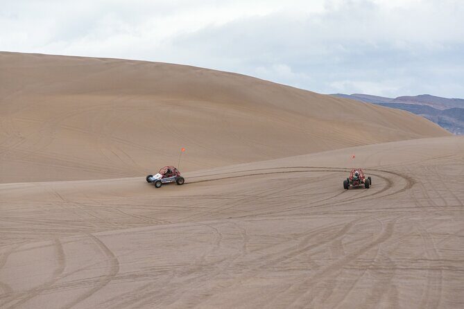 Las Vegas Big Dune Free Roam Adventure at Amargosa - Rides and Equipment: Designed for Beginners and Thrill-Seekers Alike