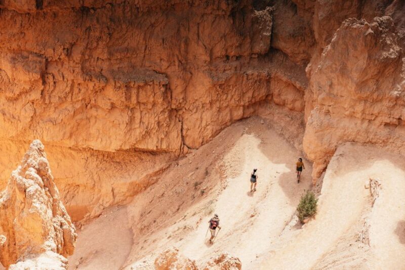 Las Vegas: Bryce and Zion National Parks Tour with Lunch - Analyzing the Value