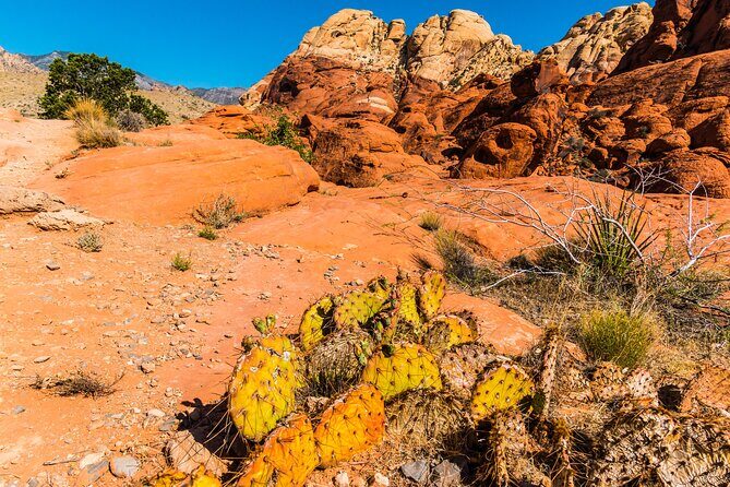 Las Vegas Day Trips: 3-Day Self-Guided Audio Tour - An In-Depth Review of the 3-Day Self-Guided Audio Tour