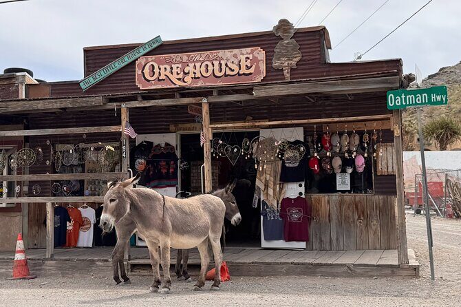 Las Vegas Ghost Town Tour and Historic Route 66 - An In-Depth Look at the Itinerary and Experiences