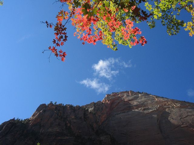 Las Vegas: Grand Canyon, Antelope, Bryce and Zion 3-Day Tour - The Sum Up: Who Will Love This Tour?