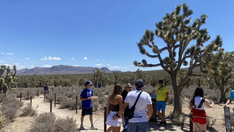 Las Vegas: Grand Canyon Helicopter & Ranch Adventure by Bus - A Deep Dive into the Experience