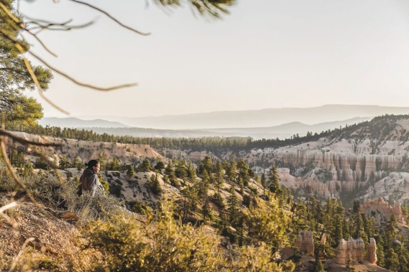 Las Vegas: Grand Canyon National Park South Rim Guided Tour - The Sum Up: Is It Worth It?