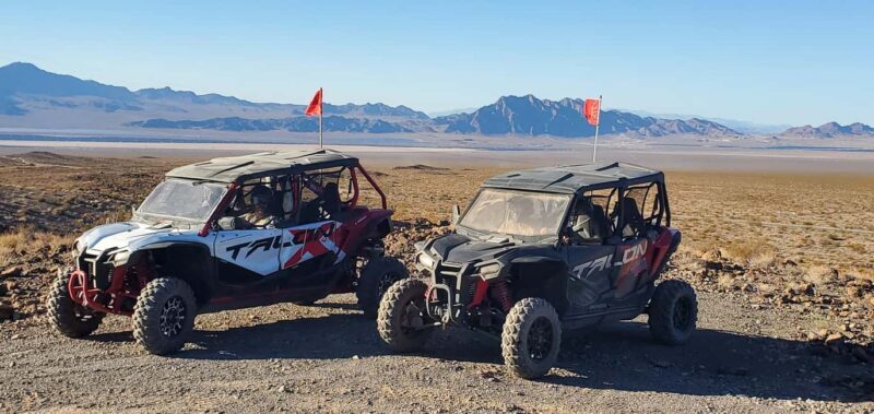 Las Vegas: Guided Las Vegas Desert Buggy Tour - Who Will Love This Tour?