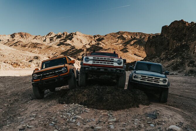 Las Vegas Guided Off-Road Adventure to Callville Wash - Testimonials: Real Travelers’ Perspectives