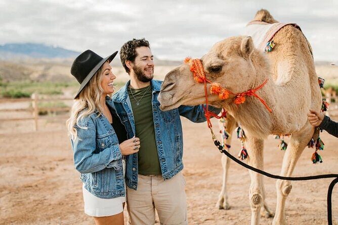 Las Vegas Guided UTV Safari and Zoo Tour - Key Points