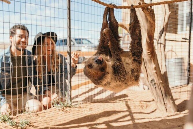Las Vegas Guided UTV Safari and Zoo Tour - Who Will Enjoy This Tour?