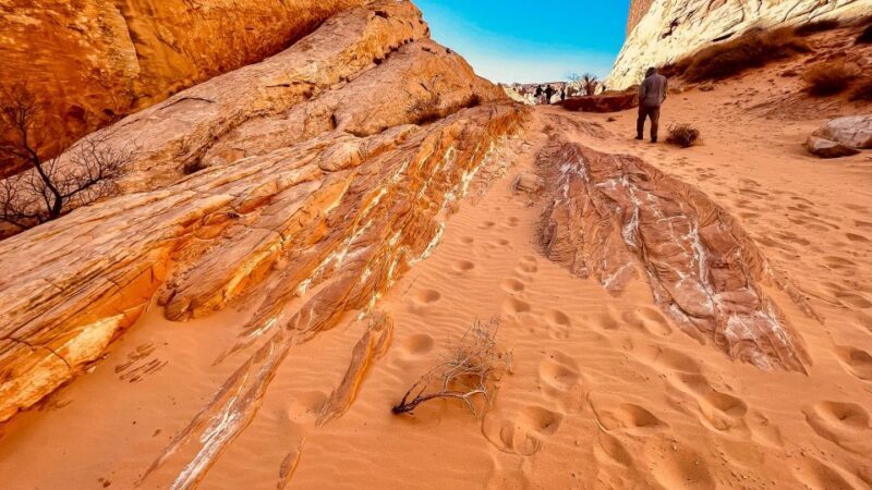 Las Vegas: Hoover Dam, Valley of Fire, Boulder City Day Tour - Final Thoughts