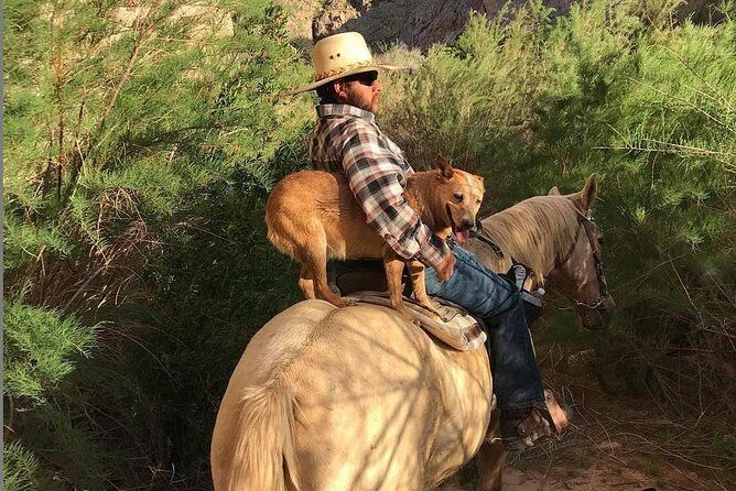 Las Vegas Horseback Ride with Meal - The Experience: What to Expect from Start to Finish