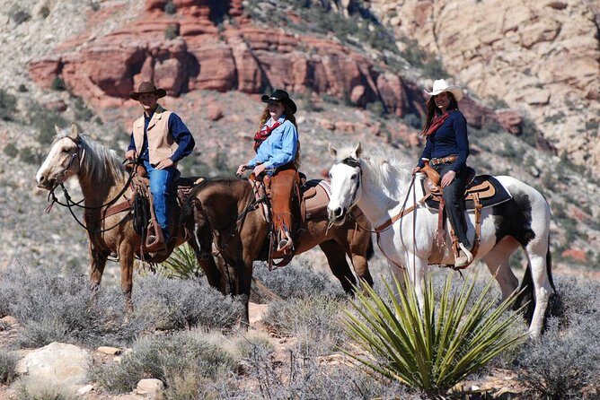 Las Vegas Horseback Ride with Meal - Authentic Reviews and Insights