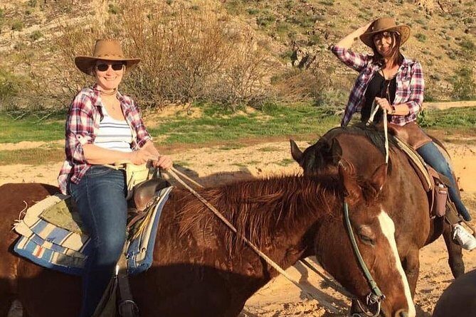 Las Vegas Horseback Ride with Meal - The Sum Up: Who Will Love This Tour?