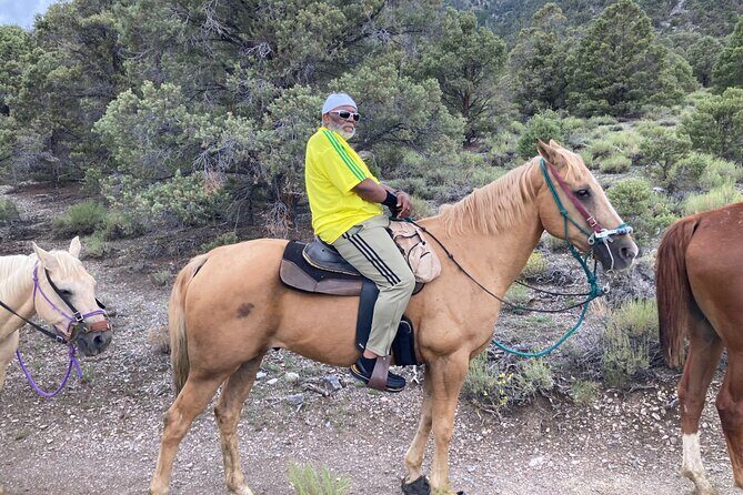 Las Vegas Horseback Riding Adventure in Mountain - Final Thoughts