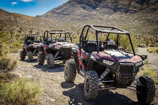 Las Vegas Mini Desert RZR Adventure - An Honest Look at the Las Vegas Mini Desert RZR Adventure