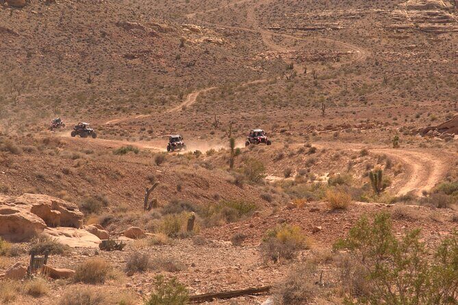 Las Vegas Mini Desert RZR Adventure - FAQ